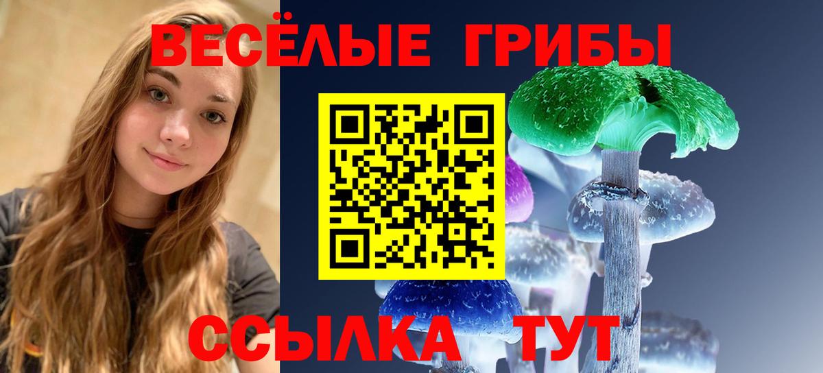 Псилоцибиновые грибы мицелий  Вход с VPN  наркота  Нефтекумск 