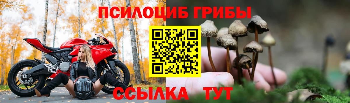 Галлюциногенные грибы Cubensis Нефтекумск